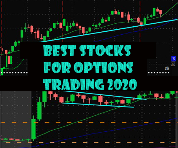 Best Stocks for Options Trading 2020 - Wall Street Prodigy